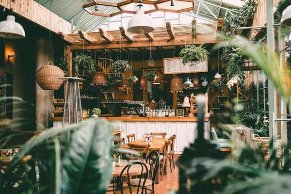 CAFE IV مفتح شمالی